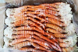 俄羅斯皇帝蟹腳, 500g 以上, HK$234/kg *以磅後爲準 (FS164-7AA) 俄羅斯皇帝蟹腳, 500g 以上, HK$234/kg *以磅後爲準 (FS164-7AA)